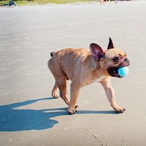 Meet your Posher, Jamie